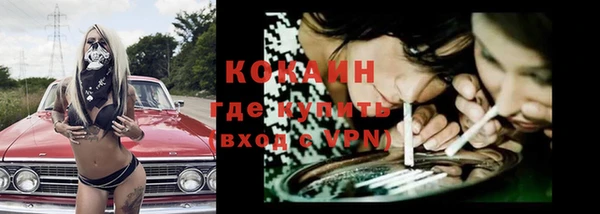 индика Горно-Алтайск