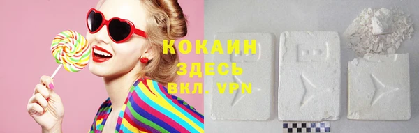 индика Горно-Алтайск