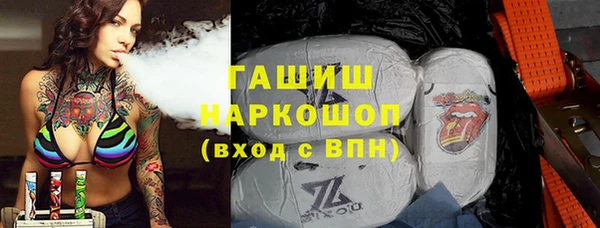 индика Горно-Алтайск