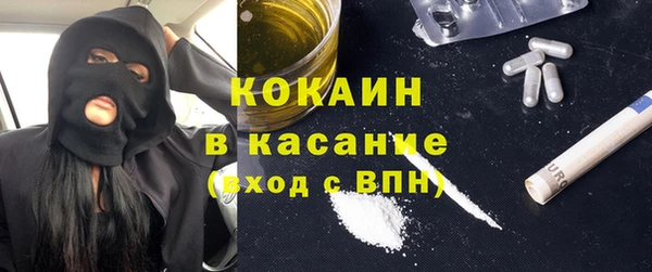 индика Горно-Алтайск